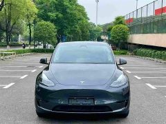 Tesla Model Y Rear-Wheel Drive - ფოტო 2