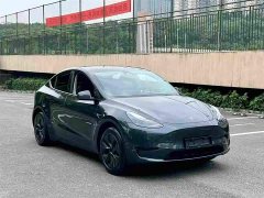 Tesla Model Y Rear-Wheel Drive - ფოტო 3