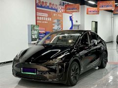 Tesla Model Y Rear-Wheel Drive - ფოტო 1