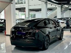 Tesla Model Y Rear-Wheel Drive - ფოტო 10