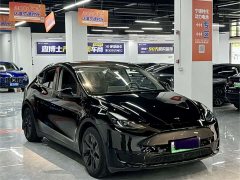 Tesla Model Y Rear-Wheel Drive - ფოტო 3