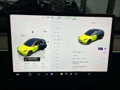 Tesla Model Y Rear-Wheel Drive - ფოტო 7