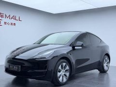 Tesla Model Y Long Range All-Wheel Drive - ფოტო 1