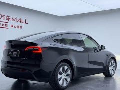 Tesla Model Y Long Range All-Wheel Drive - ფოტო 16