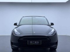 Tesla Model Y Long Range All-Wheel Drive - ფოტო 2