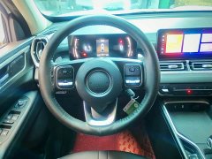 Kingkong Cannon Jingang Pao 2.0T Automatic 8AT Diesel 4WD Elite Flat-bed - photo 8