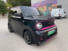 Geely Panda 210km Panda Kart - ფოტო 3
