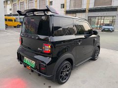 Geely Panda 210km Panda Kart - ფოტო 6