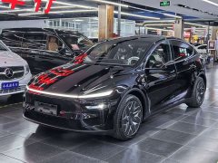 Tesla Model Y L 2025 Long Range All-Wheel Drive - ფოტო 1