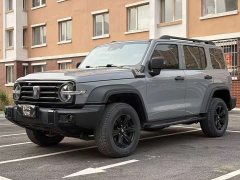 Tank 300 Off-Road Edition 2.0T Conqueror - ფოტო 1