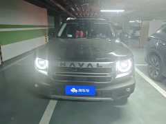 Great Wall Dachshund 1.5T DCT Border Collie Edition - ფოტო 2