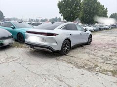BYD Han L EV AWD LiDAR Flagship - ფოტო 7