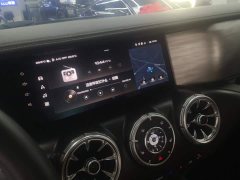 Tank 300 Off-Road Edition 2.0T Challenger - ფოტო 13