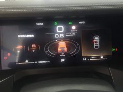 Tank 300 Off-Road Edition 2.0T Challenger - ფოტო 14