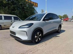 Wuling Binguo PLUS 330km 5-Seater - ფოტო 1