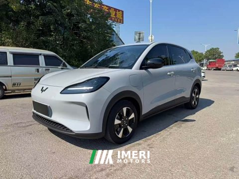 2024 Wuling Binguo PLUS 330km 5-Seater - ავტომობილი ჩინეთიდან