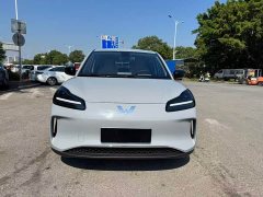 Wuling Binguo PLUS 330km 5-Seater - ფოტო 2