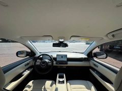 Wuling Binguo PLUS 330km 5-Seater - ფოტო 5