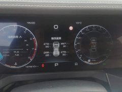 Tank 300 Off-Road Edition 2.0T Challenger - ფოტო 14