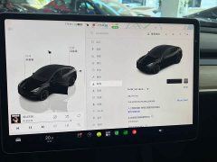 Tesla Model Y Rear-Wheel Drive - ფოტო 11