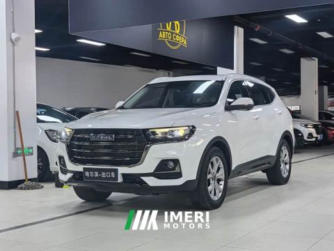 2022 Haval H6 National Trend 1.5GDIT Automatic Champion Edition - ავტომობილი ჩინეთიდან