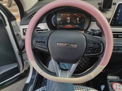 Yuehu Facelift 30.66kWh FWD VIP Edition - ფოტო 15