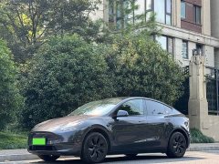 Tesla Model Y Rear-Wheel Drive - ფოტო 1
