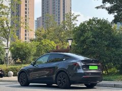 Tesla Model Y Rear-Wheel Drive - ფოტო 11