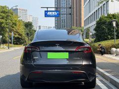 Tesla Model Y Rear-Wheel Drive - ფოტო 12