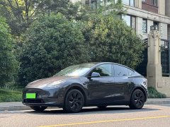 Tesla Model Y Rear-Wheel Drive - ფოტო 2
