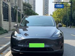 Tesla Model Y Rear-Wheel Drive - ფოტო 3