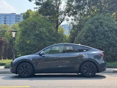 Tesla Model Y Rear-Wheel Drive - ფოტო 4