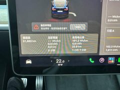 Tesla Model Y 2022 Performance All-Wheel Drive - ფოტო 11