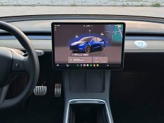 Tesla Model Y 2022 Performance All-Wheel Drive - ფოტო 19
