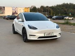 Tesla Model Y 2022 Performance All-Wheel Drive - ფოტო 3