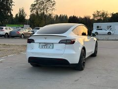 Tesla Model Y 2022 Performance All-Wheel Drive - ფოტო 6