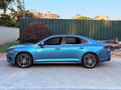 Geely Xingrui 2.0T Diesel Premium Edition - ფოტო 10