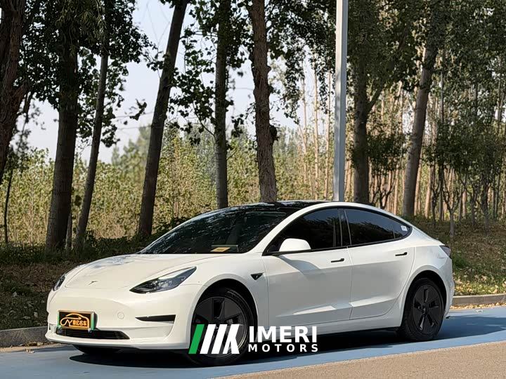 Tesla Model 3 Rear-Wheel Drive