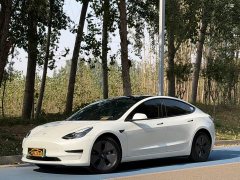 Tesla Model 3 Rear-Wheel Drive - ფოტო 1