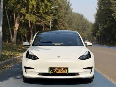 Tesla Model 3 Rear-Wheel Drive - ფოტო 2