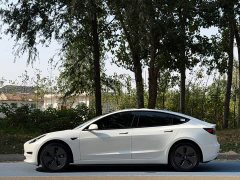 Tesla Model 3 Rear-Wheel Drive - ფოტო 3