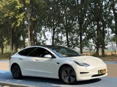 Tesla Model 3 Rear-Wheel Drive - ფოტო 5