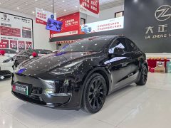 Tesla Model Y Standard Range RWD - photo 1