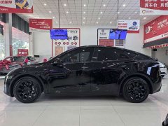 Tesla Model Y Standard Range RWD - photo 4