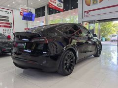 Tesla Model Y Standard Range RWD - photo 6