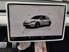 Tesla Model Y Long Range All-Wheel Drive - ფოტო 13