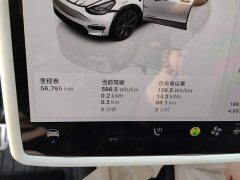 Tesla Model Y Long Range All-Wheel Drive - ფოტო 14