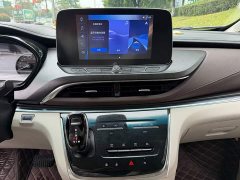 Buick GL8 Land Business Class Comfort Edition - ფოტო 9