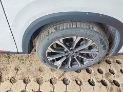 Changan CS75PLUS 2.0T Automatic Pilot Edition - ფოტო 6