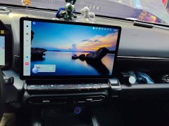 Haval Big Dog PLUS 2.0T AWD Trendy Wilderness Plus - ფოტო 13
